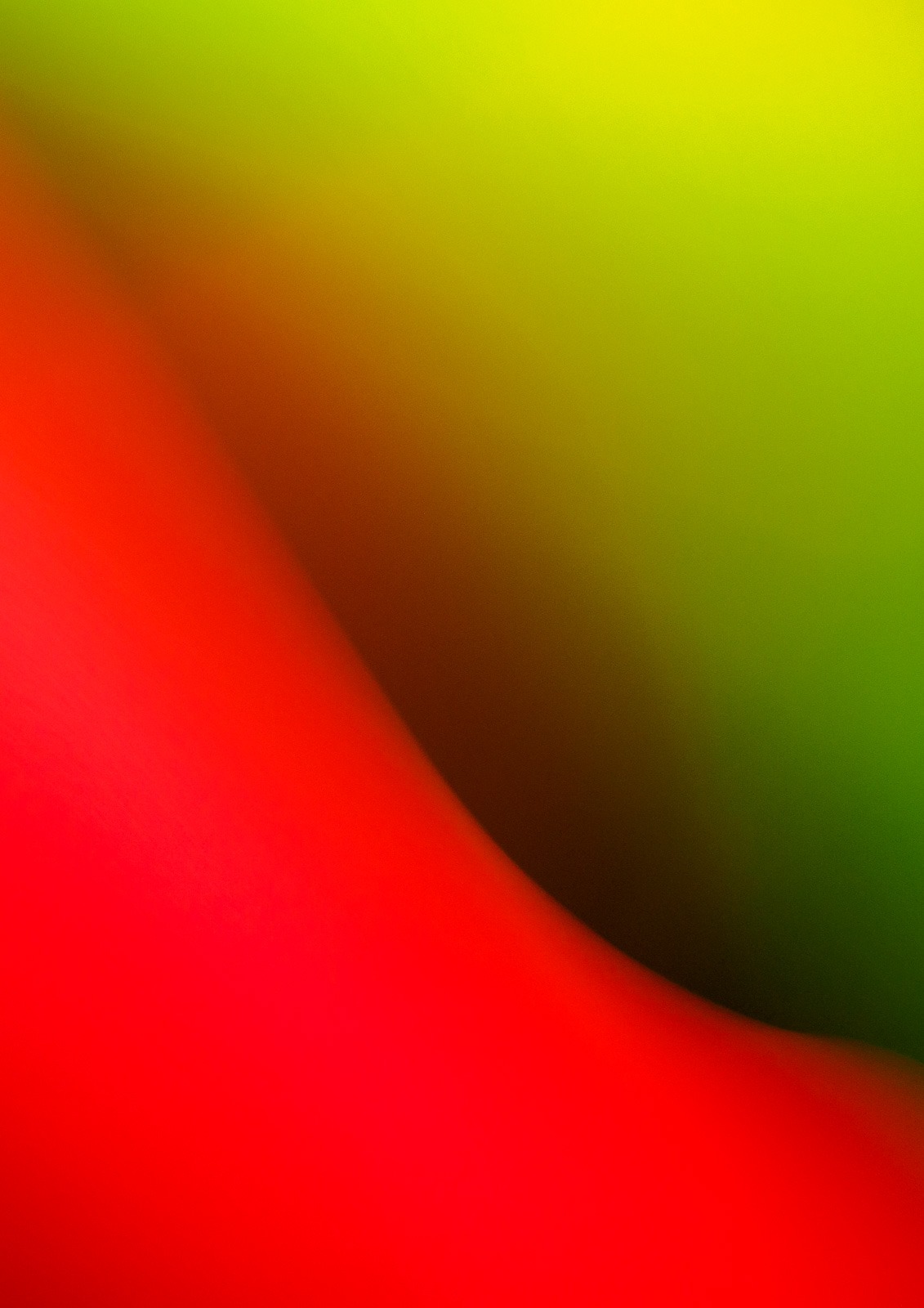 Intimacy 2