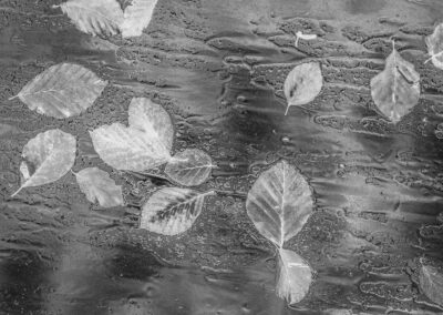 Autumn rain - Alastair Macrae