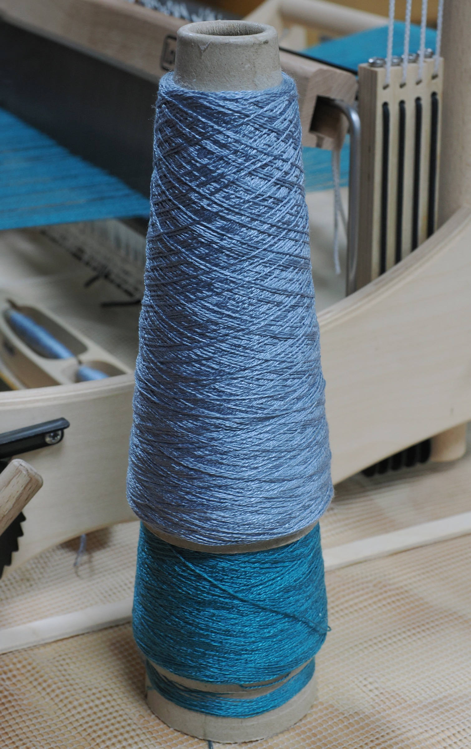Members’ Evening — Macro, Still Life and a Visit to the Weaving Room — 8 September 2026