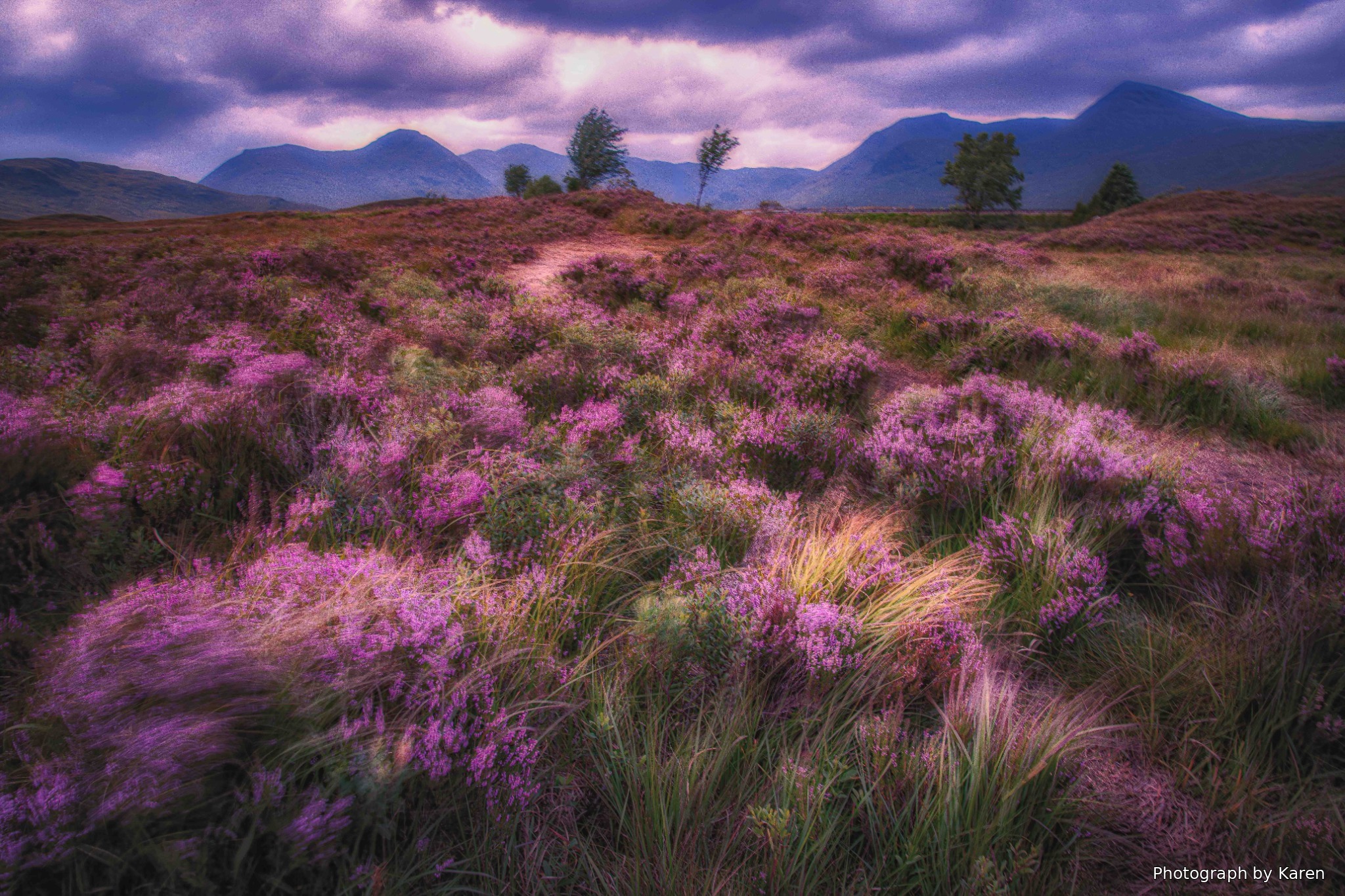 Members’ Night –  from Edinburgh to Namibia and Mull